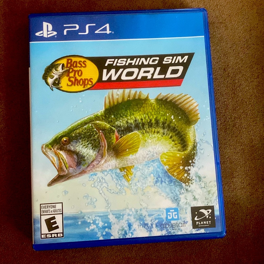 PS 4 Game